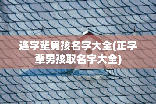 连字辈男孩名字大全(正字辈男孩取名字大全)