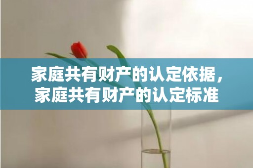 家庭共有财产的认定依据，家庭共有财产的认定标准
