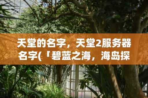 天堂的名字，天堂2服务器名字(「碧蓝之海，海岛探险」)