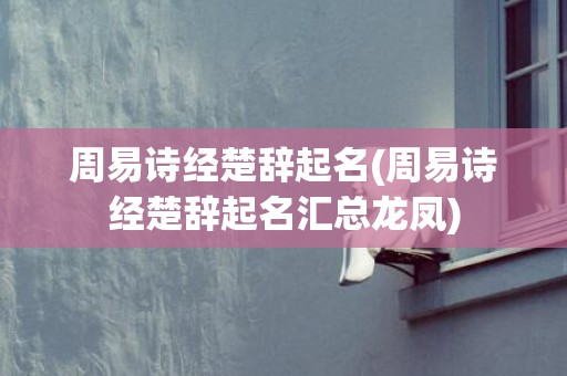 周易诗经楚辞起名(周易诗经楚辞起名汇总龙凤)