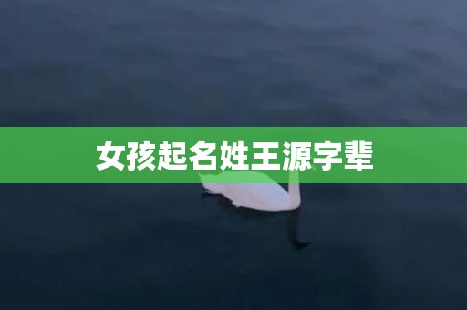 女孩起名姓王源字辈