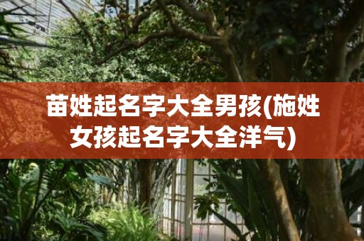 苗姓起名字大全男孩(施姓女孩起名字大全洋气)