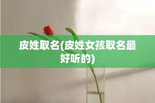 皮姓取名(皮姓女孩取名最好听的)