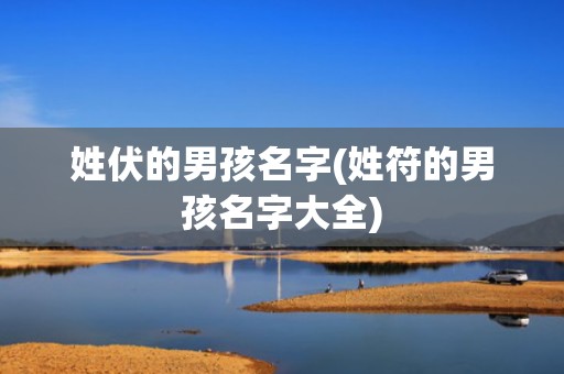 姓伏的男孩名字(姓符的男孩名字大全)