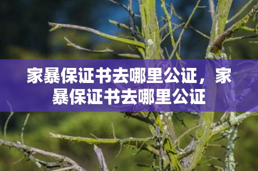 家暴保证书去哪里公证，家暴保证书去哪里公证