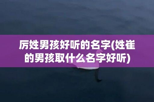 厉姓男孩好听的名字(姓崔的男孩取什么名字好听)