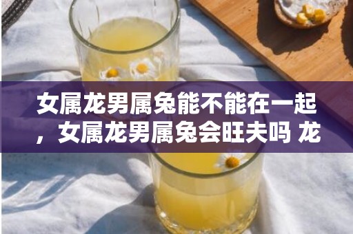 女属龙男属兔能不能在一起，女属龙男属兔会旺夫吗 龙女兔男为上佳适婚属相