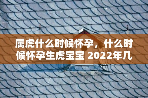 属虎什么时候怀孕，什么时候怀孕生虎宝宝 2022年几月备孕好