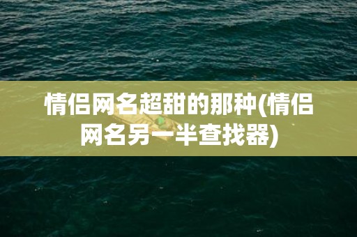 情侣网名超甜的那种(情侣网名另一半查找器)