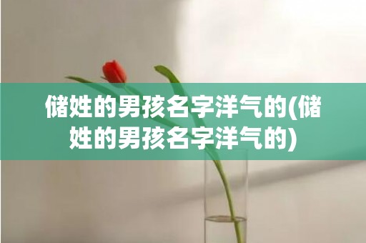储姓的男孩名字洋气的(储姓的男孩名字洋气的)