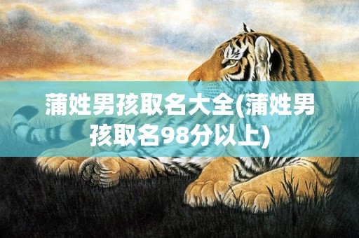 蒲姓男孩取名大全(蒲姓男孩取名98分以上)
