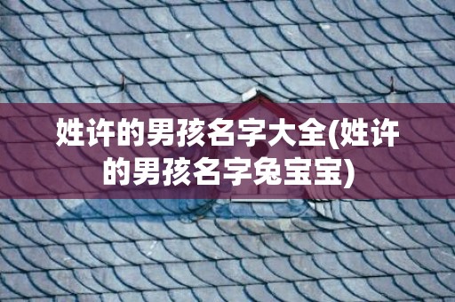 姓许的男孩名字大全(姓许的男孩名字兔宝宝)