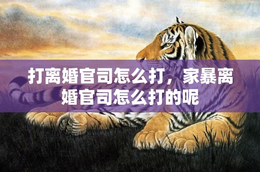 打离婚官司怎么打，家暴离婚官司怎么打的呢