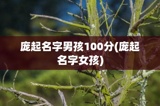 庞起名字男孩100分(庞起名字女孩)