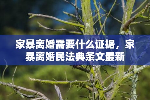 家暴离婚需要什么证据，家暴离婚民法典条文最新