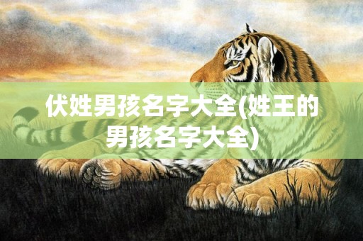 伏姓男孩名字大全(姓王的男孩名字大全)