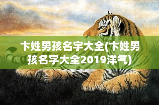 卞姓男孩名字大全(卞姓男孩名字大全2019洋气)