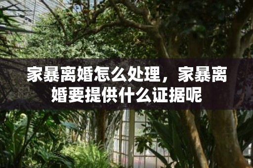 家暴离婚怎么处理，家暴离婚要提供什么证据呢