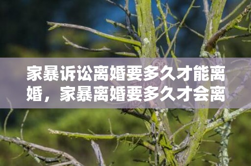 家暴诉讼离婚要多久才能离婚，家暴离婚要多久才会离掉呢