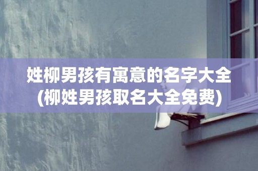 姓柳男孩有寓意的名字大全(柳姓男孩取名大全免费)