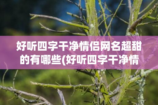好听四字干净情侣网名超甜的有哪些(好听四字干净情侣游戏名字)