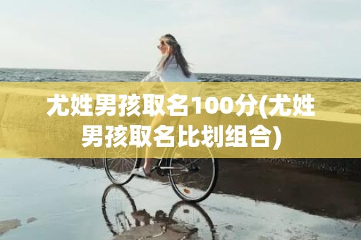 尤姓男孩取名100分(尤姓男孩取名比划组合)