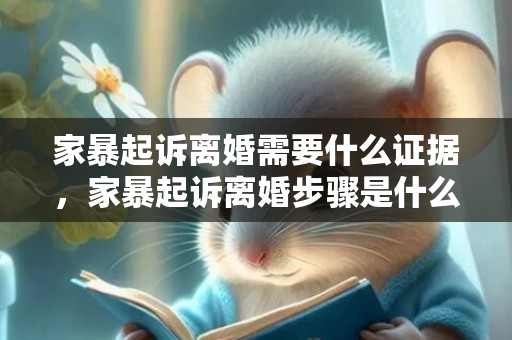 家暴起诉离婚需要什么证据，家暴起诉离婚步骤是什么