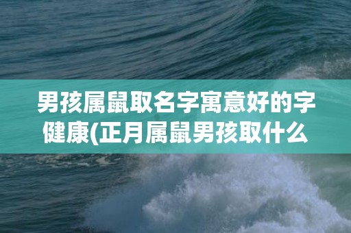 男孩属鼠取名字寓意好的字健康(正月属鼠男孩取什么名字好)