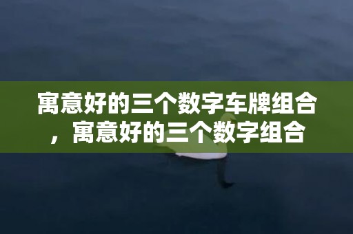 寓意好的三个数字车牌组合，寓意好的三个数字组合