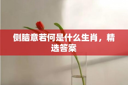 侧脑意若何是什么生肖，精选答案
