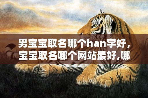 男宝宝取名哪个han字好，宝宝取名哪个网站最好,哪个起名网站比较靠谱？