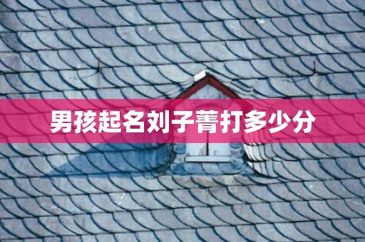 男孩起名刘子菁打多少分