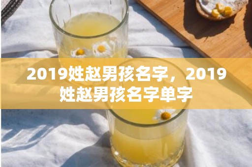 2019姓赵男孩名字，2019姓赵男孩名字单字