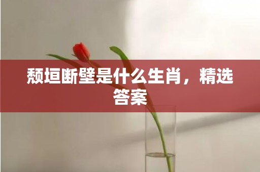 颓垣断壁是什么生肖，精选答案