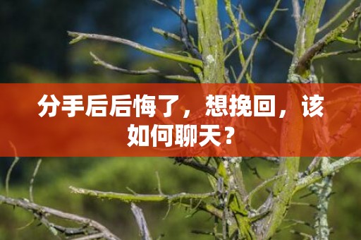 分手后后悔了，想挽回，该如何聊天？