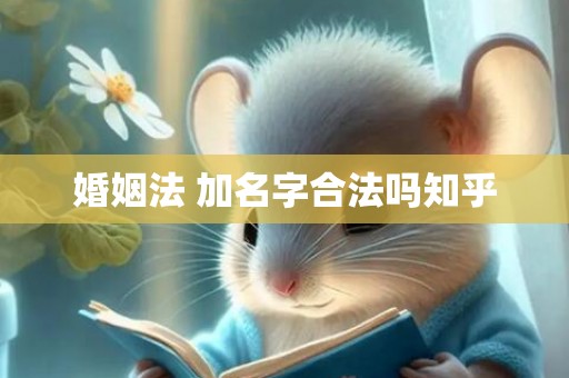 婚姻法 加名字合法吗知乎