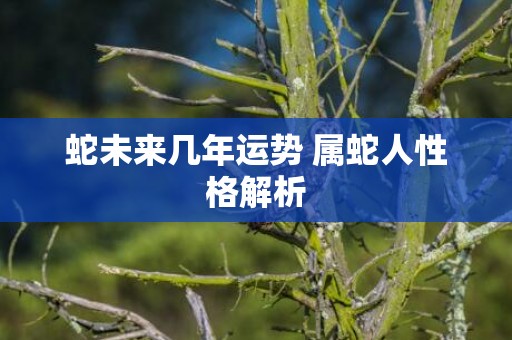 蛇未来几年运势 属蛇人性格解析