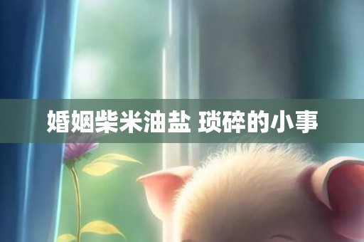 婚姻柴米油盐 琐碎的小事