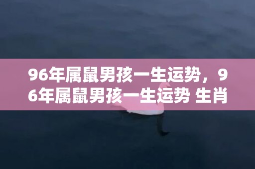 96年属鼠男孩一生运势，96年属鼠男孩一生运势 生肖鼠交际能力非常强