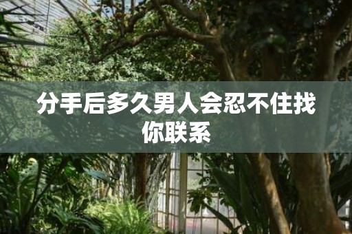分手后多久男人会忍不住找你联系