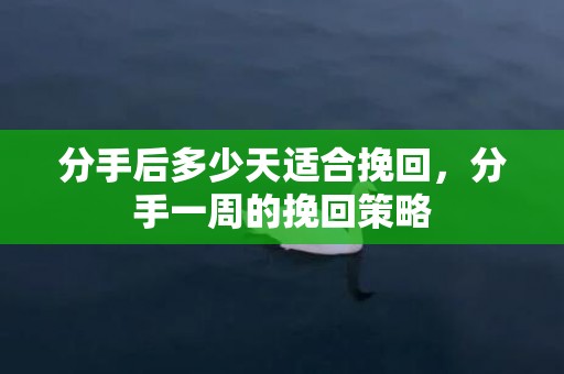 分手后多少天适合挽回，分手一周的挽回策略