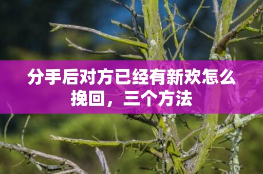 分手后对方已经有新欢怎么挽回，三个方法
