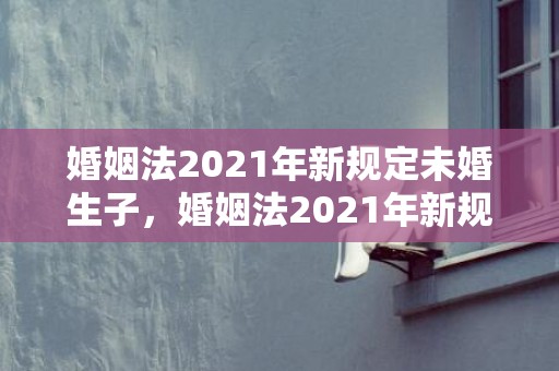 婚姻法2021年新规定未婚生子，婚姻法2021年新规定小三