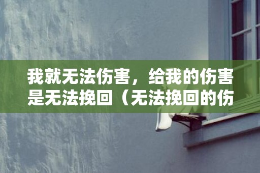 我就无法伤害，给我的伤害是无法挽回（无法挽回的伤害是什么意思）
