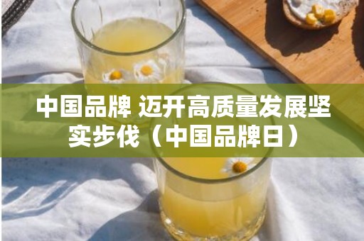 中国品牌 迈开高质量发展坚实步伐（中国品牌日）
