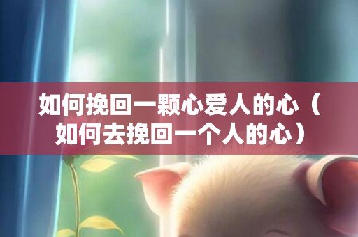 如何挽回一颗心爱人的心（如何去挽回一个人的心）