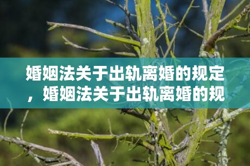 婚姻法关于出轨离婚的规定，婚姻法关于出轨离婚的规定