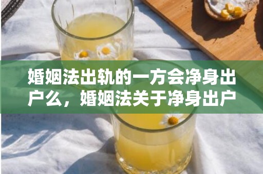 婚姻法出轨的一方会净身出户么，婚姻法关于净身出户的规定