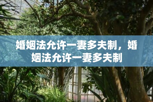 婚姻法允许一妻多夫制，婚姻法允许一妻多夫制