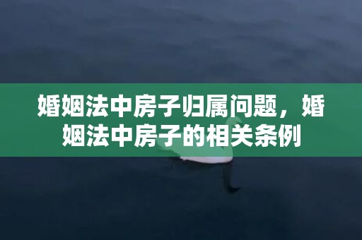 婚姻法中房子归属问题，婚姻法中房子的相关条例